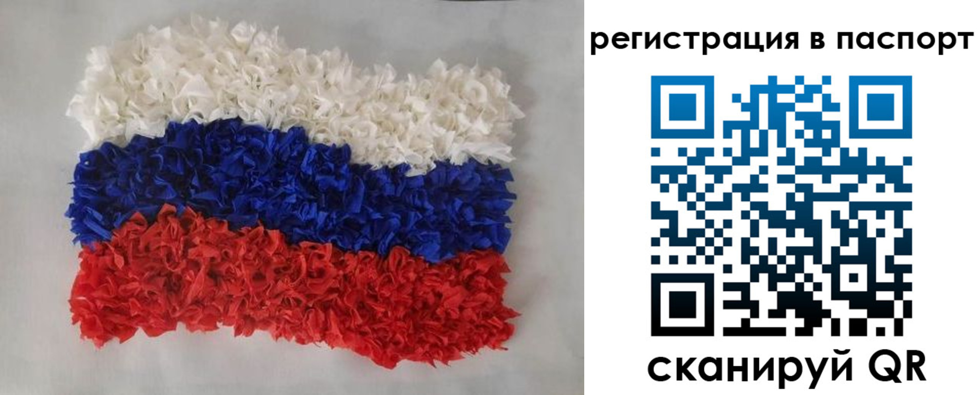 прописка регистрация в Тосно